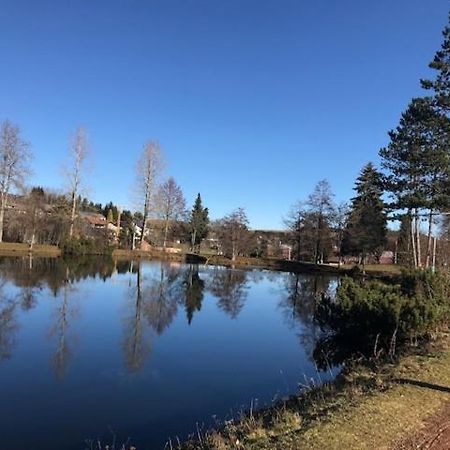Schoene Ferienwohnung Im Suedschwarzwald Herrischried Luaran gambar