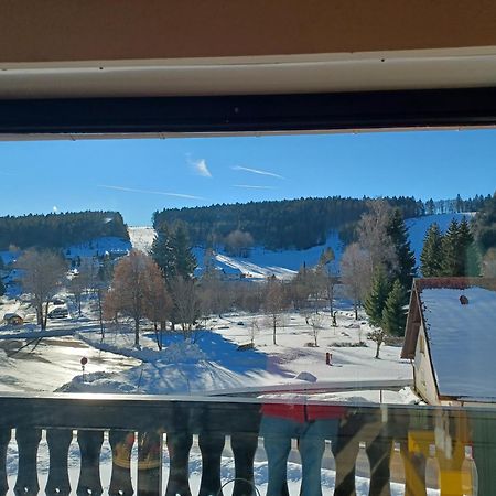 Schoene Ferienwohnung Im Suedschwarzwald Herrischried Luaran gambar