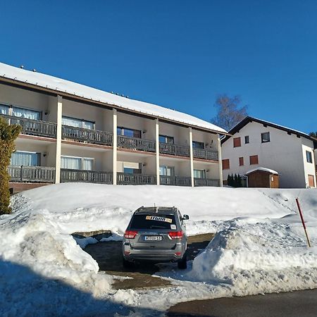 Schoene Ferienwohnung Im Suedschwarzwald Herrischried Luaran gambar